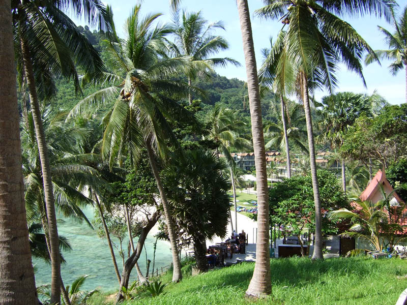 The Patong View Restaurang