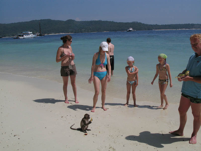 Monkey Beach