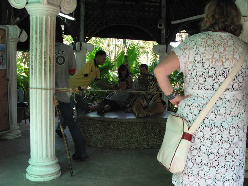 One armed man and tiger at the Phuket zoo