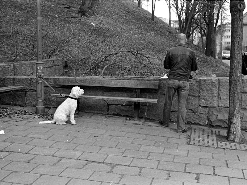 20070205 - Observatorielunden